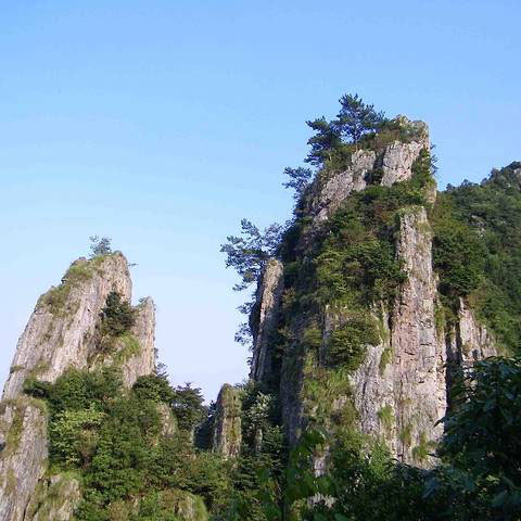 科技护林，走进‘清凉峰’